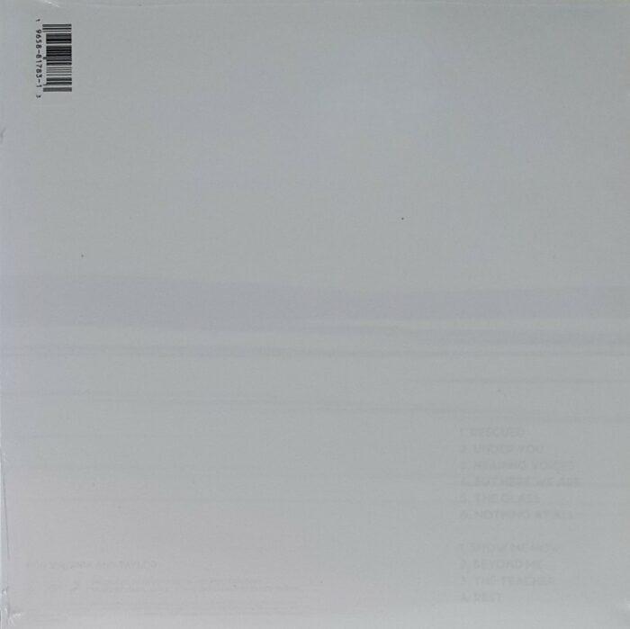vinyle blanc foo fighters but here we are verso