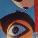VINYLE GEESE 3D COUNTRY VERSO