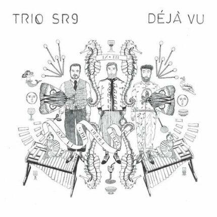 VINYLE TRIO SR9 DEJA VU RECTO