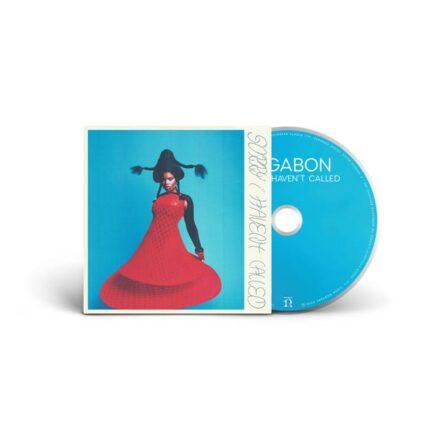 VINYLE VAGABON SORRY I HAVEN'T CALLED RECTO