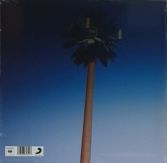 vinyle miley cyrus endless summer vacation verso