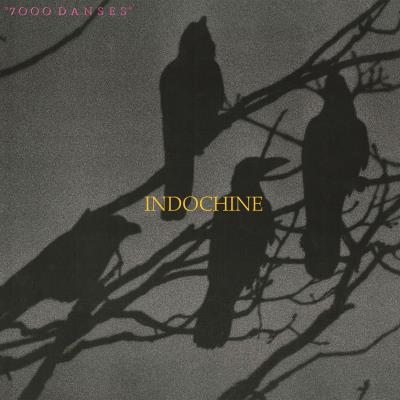 vinyle indochine 7000 danses recto