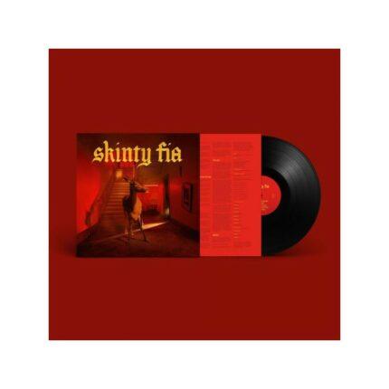 vinyle fontaines dc skinty fia vinyle noir recto