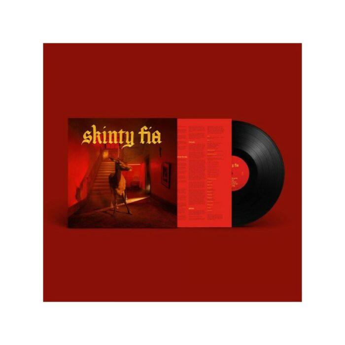 vinyle fontaines dc skinty fia vinyle noir recto