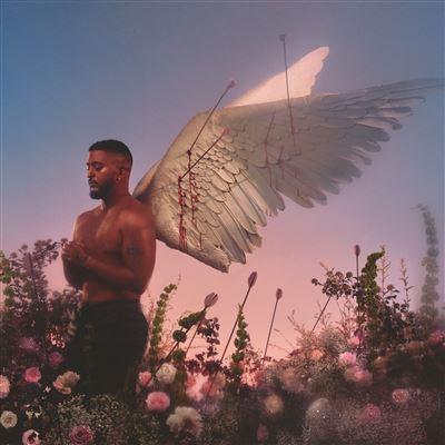 vinyle slimane chroniques d'un cupidon recto