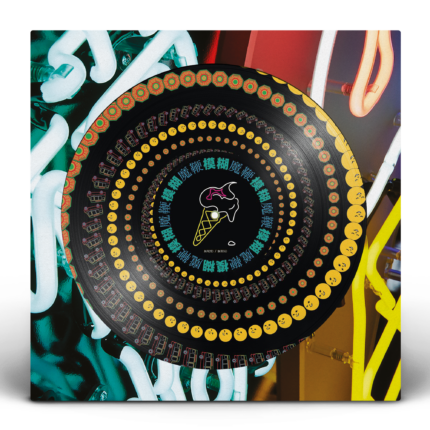 vinyle picture disc blur the magic whip rsd 2025
