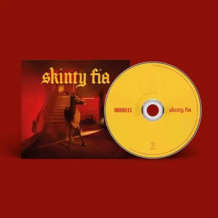 pochette cd fontaines dc skinty fia