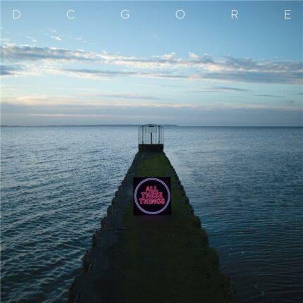 pochette recto vinyle dc gore all these things