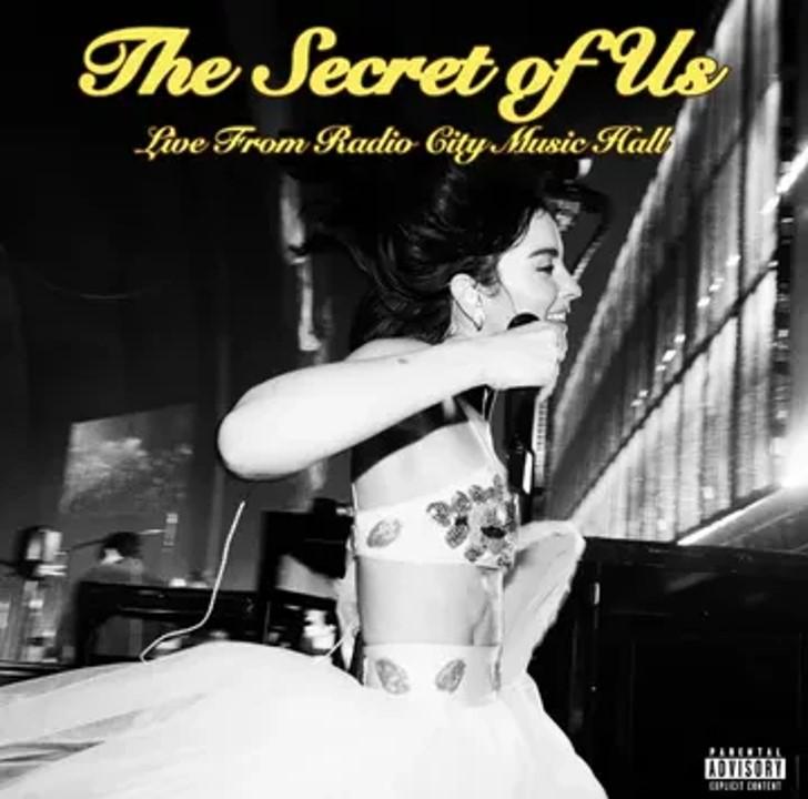 pochette recto vinyle gracie abrams the secret of us