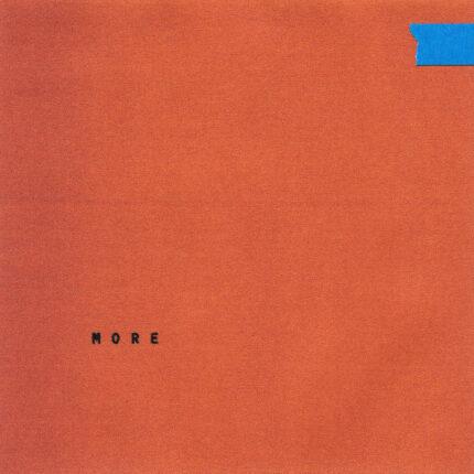 pochette recto vinyle wallows more rsd 2025