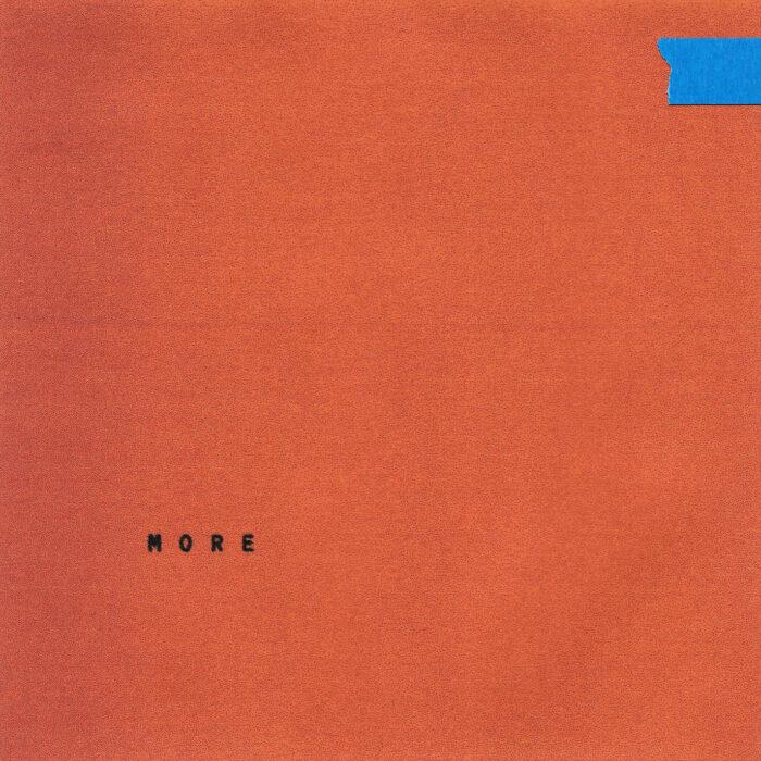 pochette recto vinyle wallows more rsd 2025